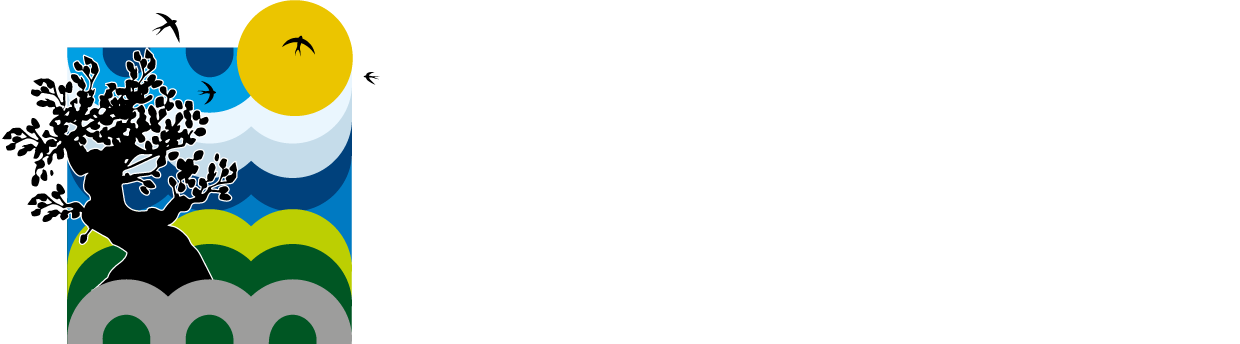Brezza tra gli Ulivi