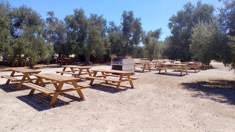 Agricampeggio Brezza tra gli Ulivi, foto 23