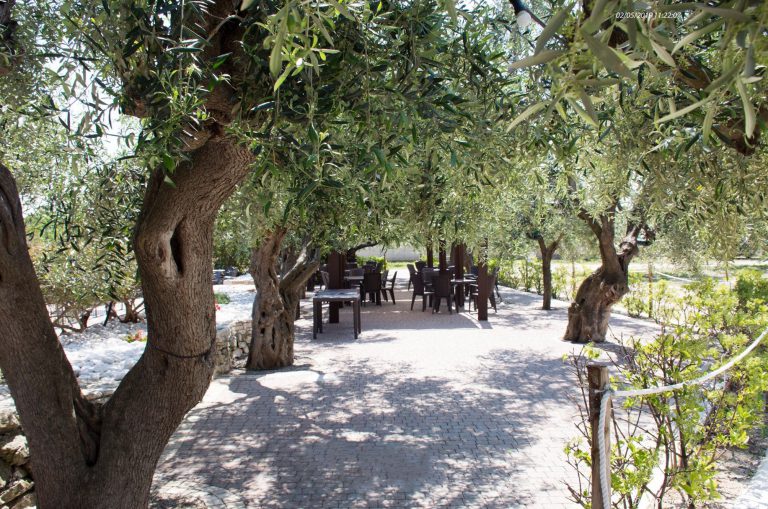 Agricampeggio Brezza tra gli Ulivi, foto 22