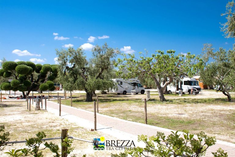Agricampeggio Brezza tra gli Ulivi, foto 19