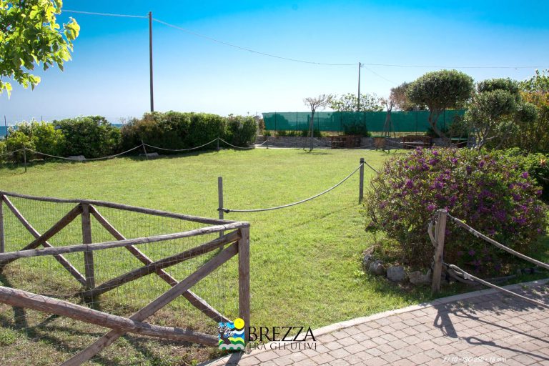 Agricampeggio Brezza tra gli Ulivi, foto 16