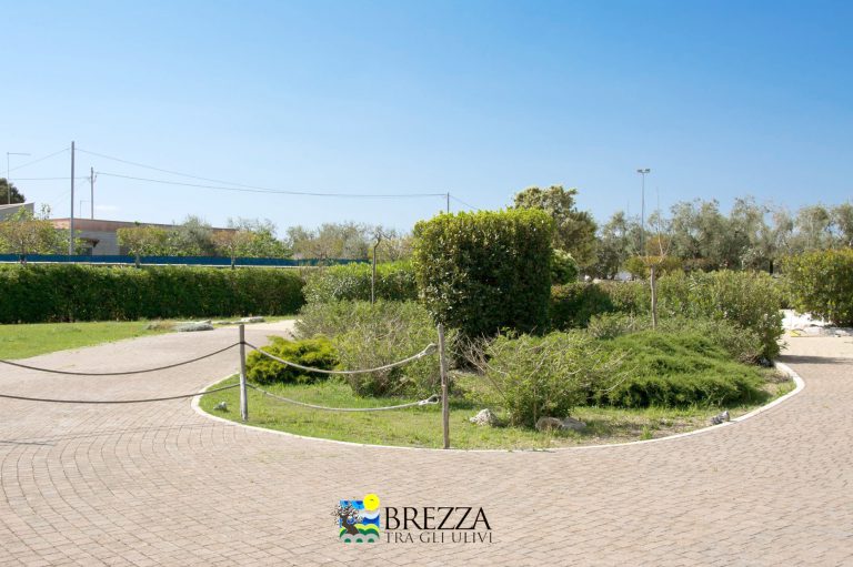 Agricampeggio Brezza tra gli Ulivi, foto 15