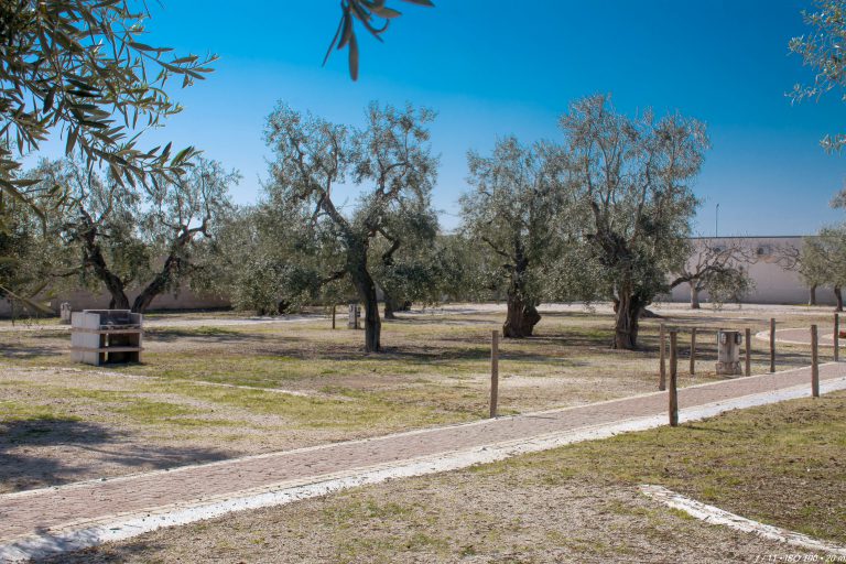 Agricampeggio Brezza tra gli Ulivi, foto 9