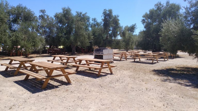 Agricampeggio Brezza tra gli Ulivi, foto 31