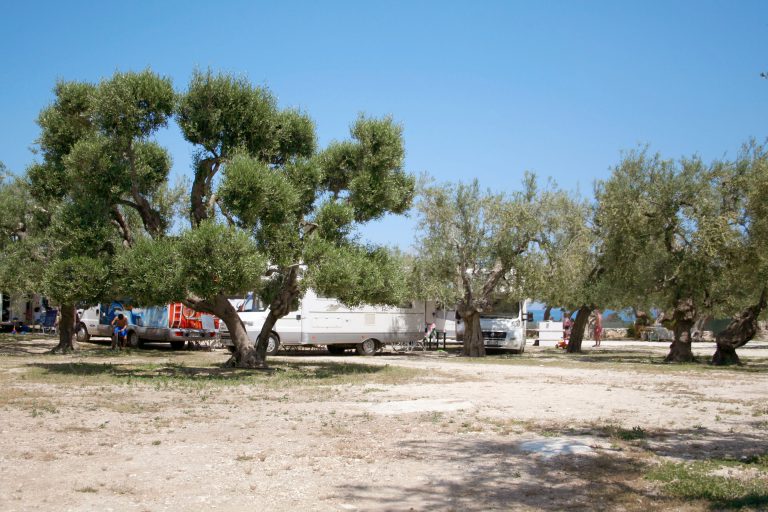 Agricampeggio Brezza tra gli Ulivi, foto 8
